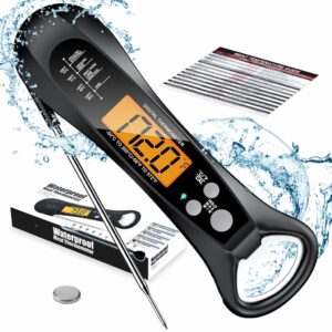 Read more about the article ROUUO Meat Thermometer Review